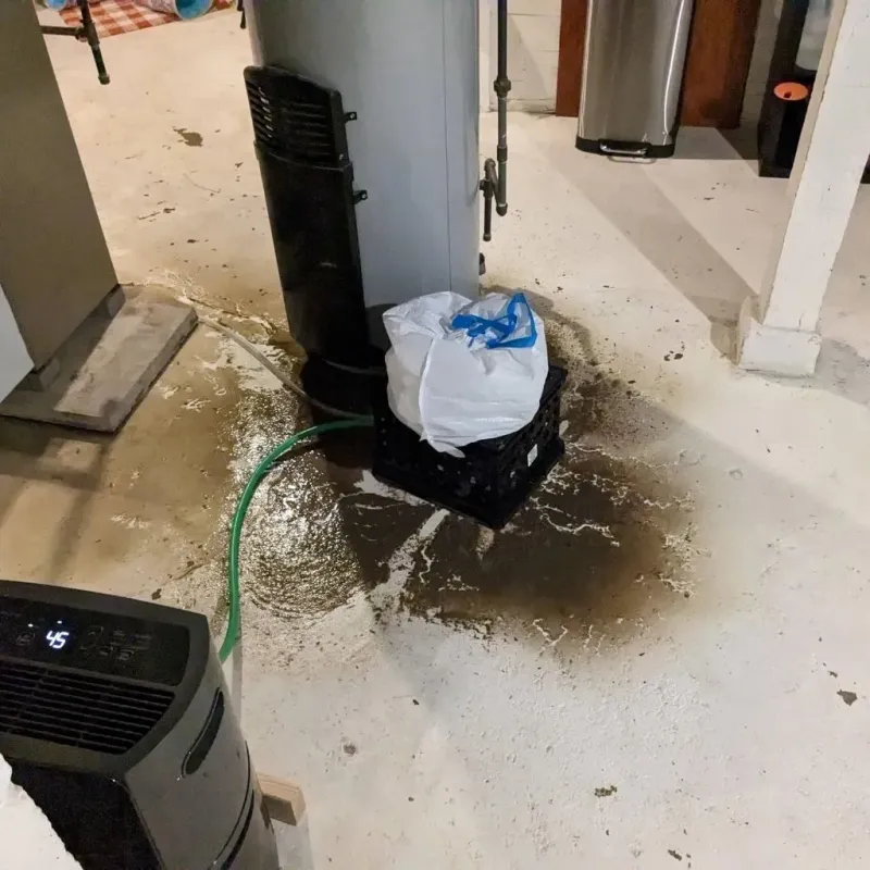 Sewage Backup Cleanup Service in Holts Summit, MO